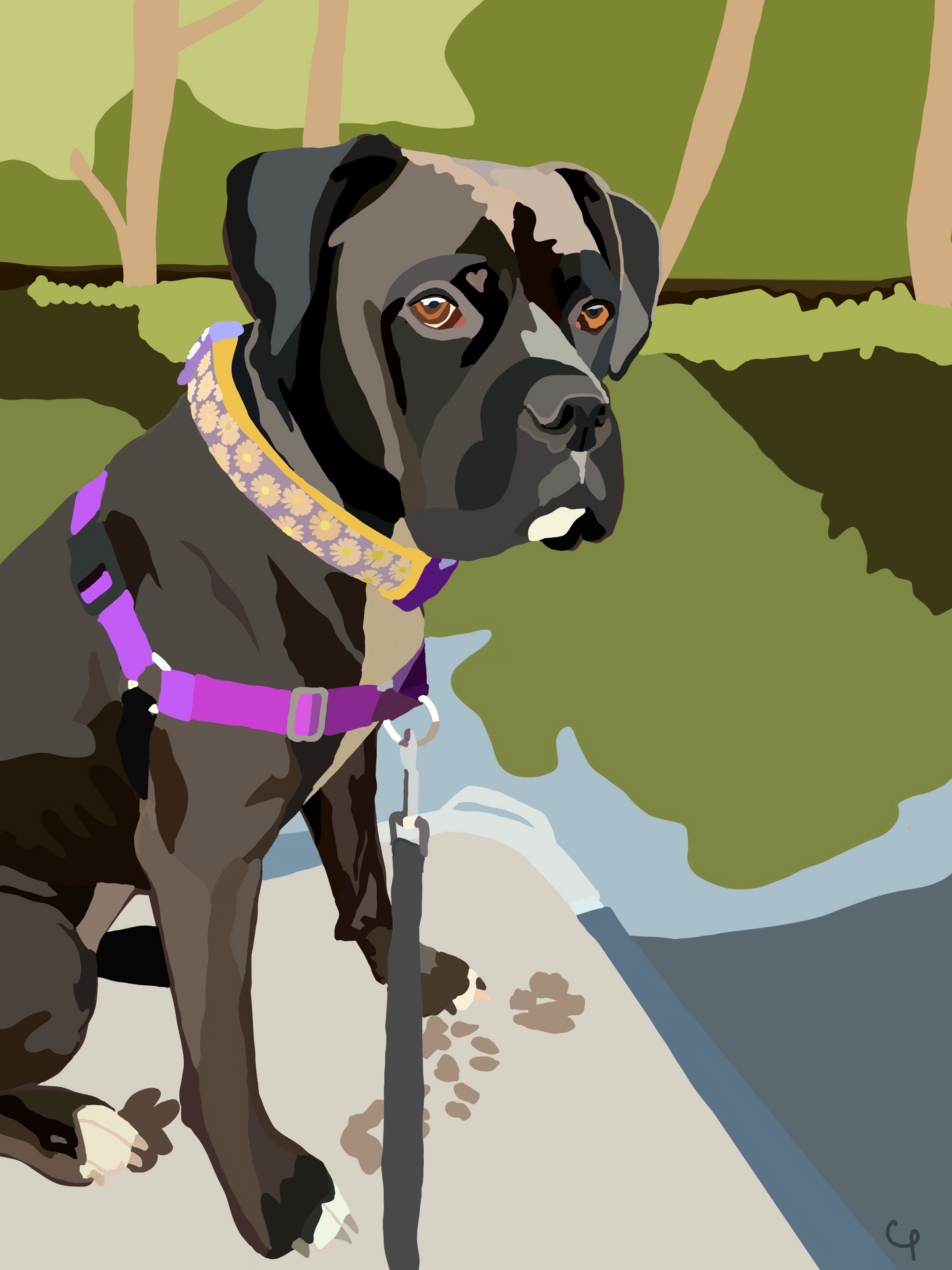 The CaraCustom Pet Portrait Digital Download